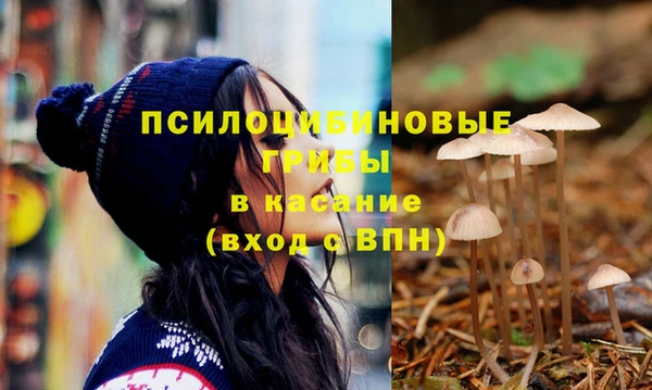 ПСИЛОЦИБИНОВЫЕ ГРИБЫ Лиски