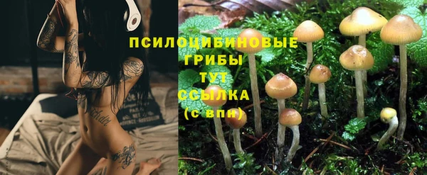 ПСИЛОЦИБИНОВЫЕ ГРИБЫ Лиски