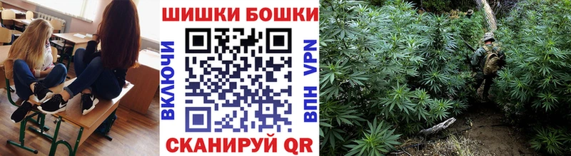 закладка  Урус-Мартан  Шишки марихуана сатива 